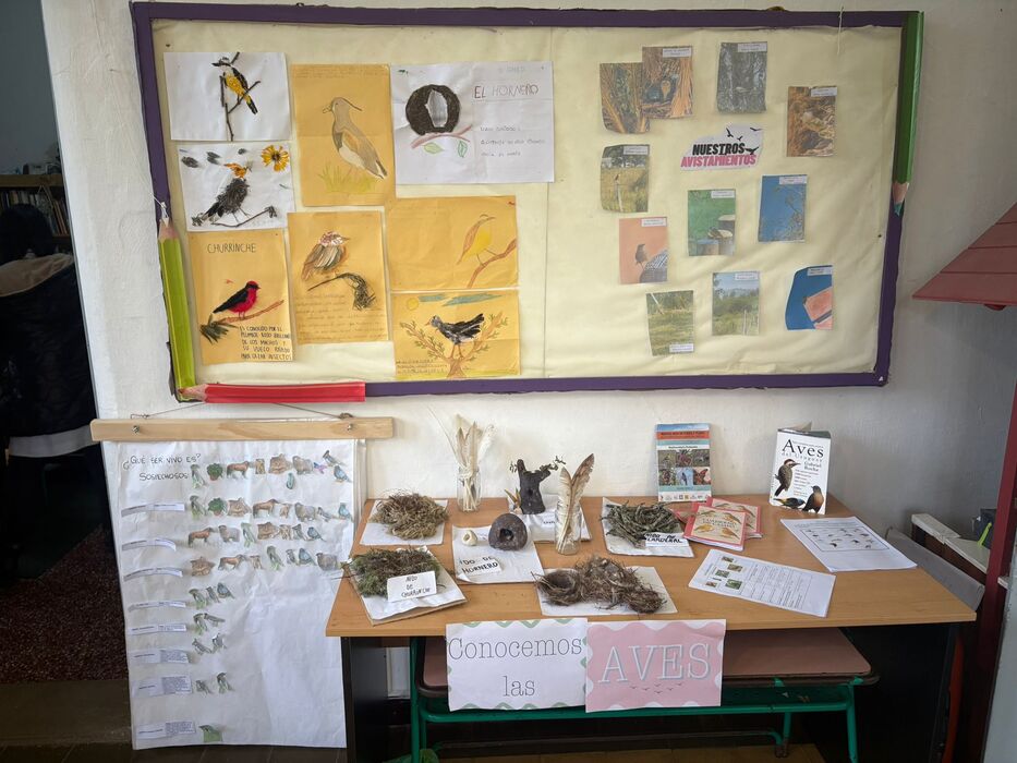 Una muestra escolar.